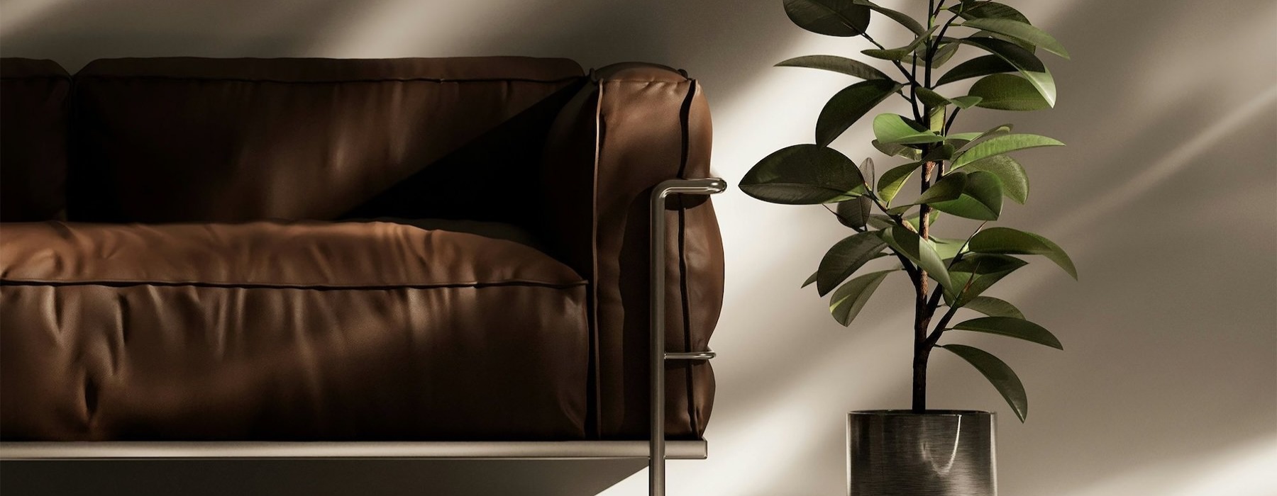 a plant in a pot near a leather couch